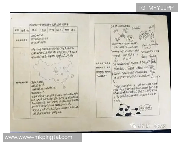 2026年3月份新闻科学攀岩战术训练方法探讨与实践提升技巧与安全保障